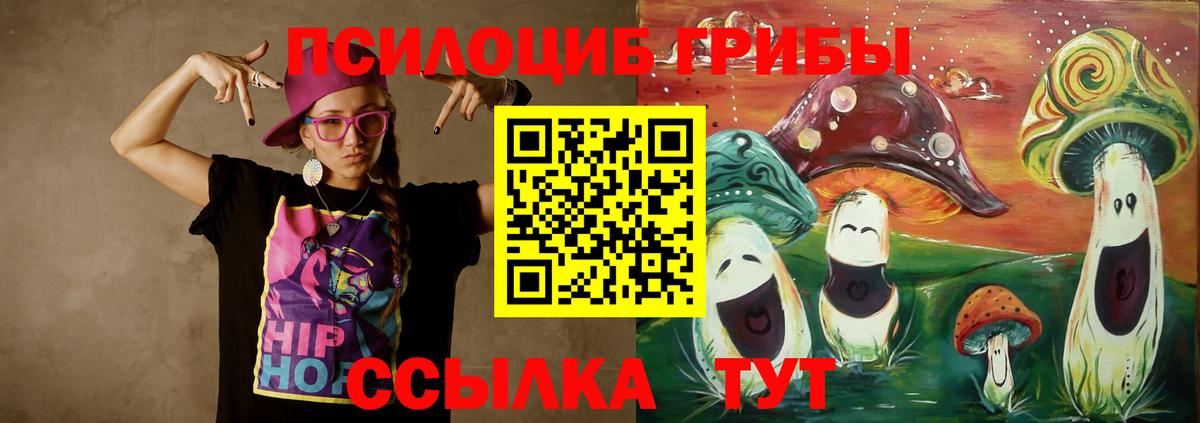 Галлюциногенные грибы мицелий Горно-Алтайск